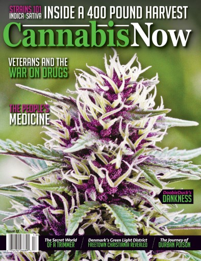 Cannabis Now issue 