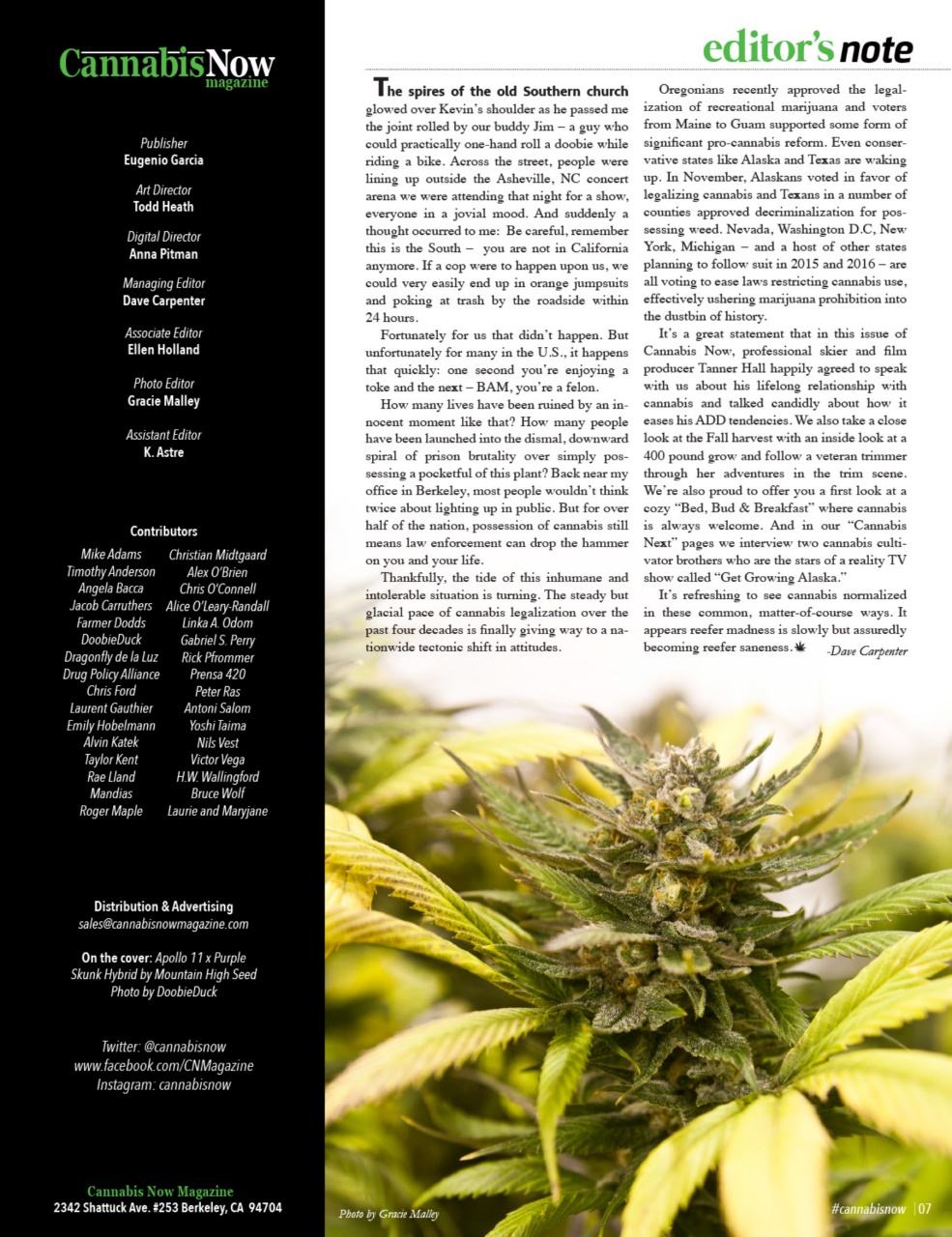 Cannabis Now Preview Pages