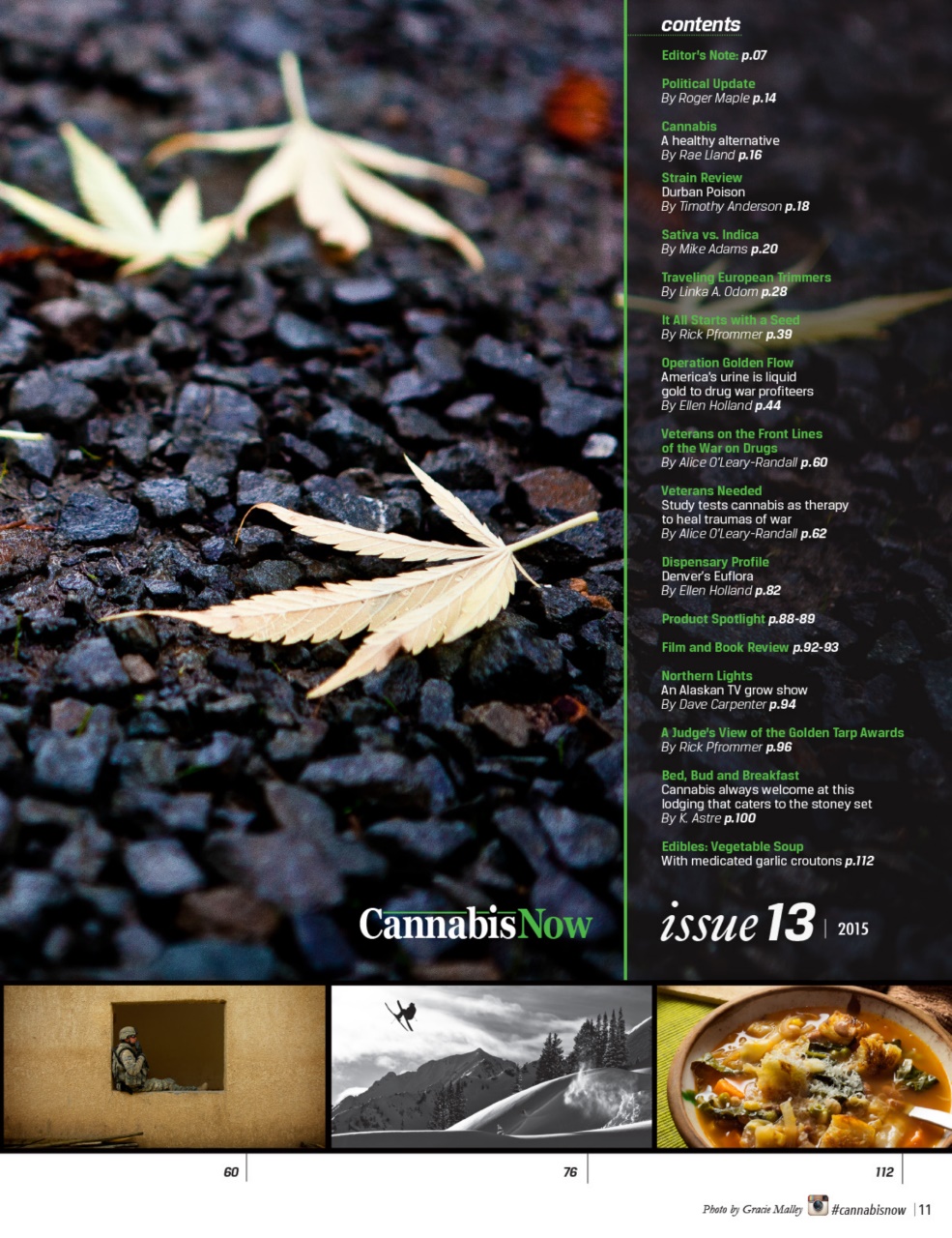 Cannabis Now Preview Pages