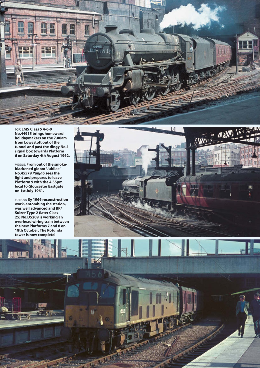 Backtrack Preview Pages