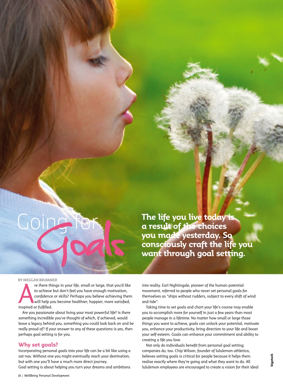 WellBeing For Life Preview Pages