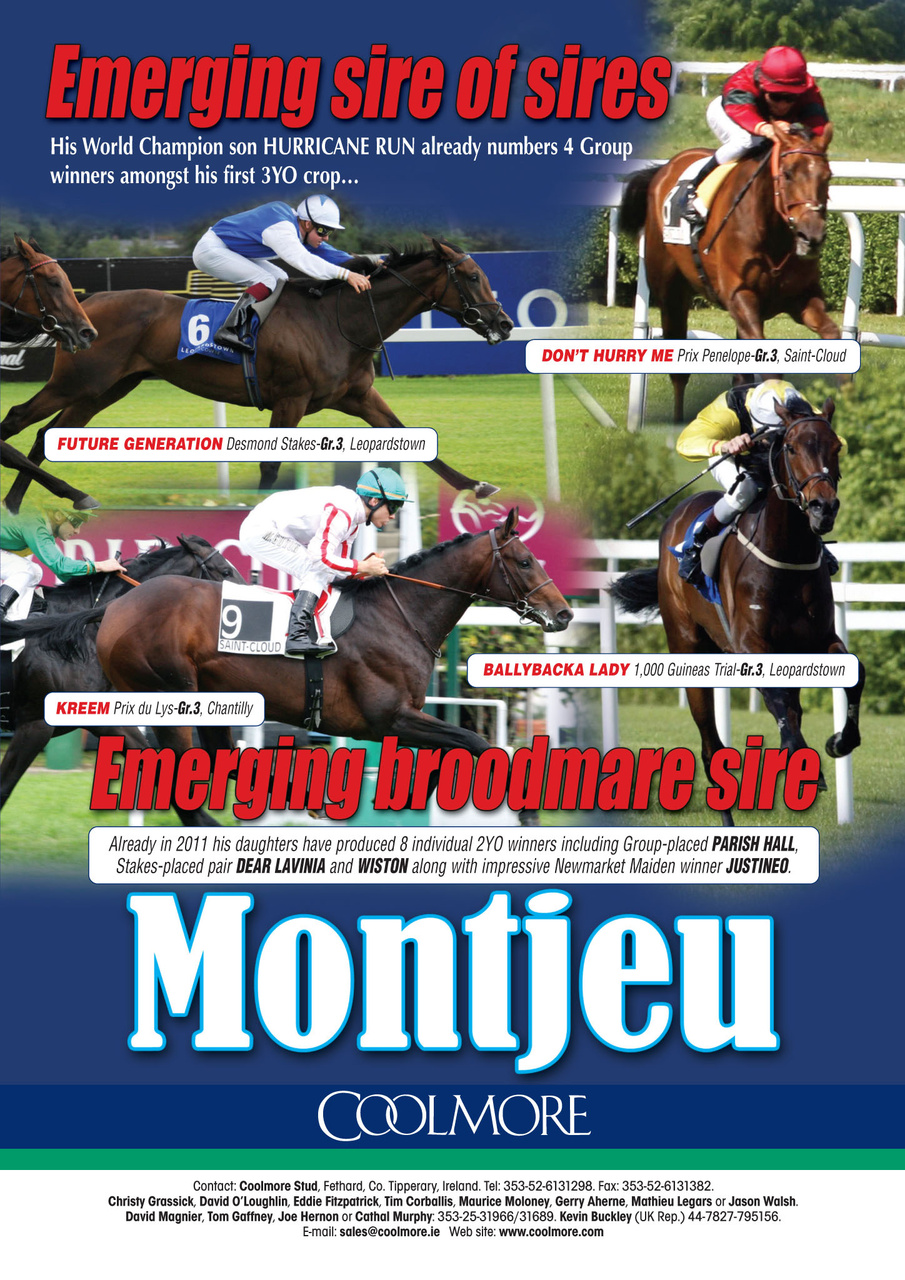 The Owner Breeder Preview Pages