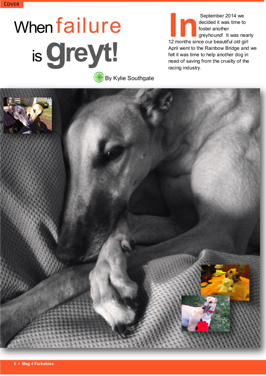 Mag 4 Furbabies Preview Pages