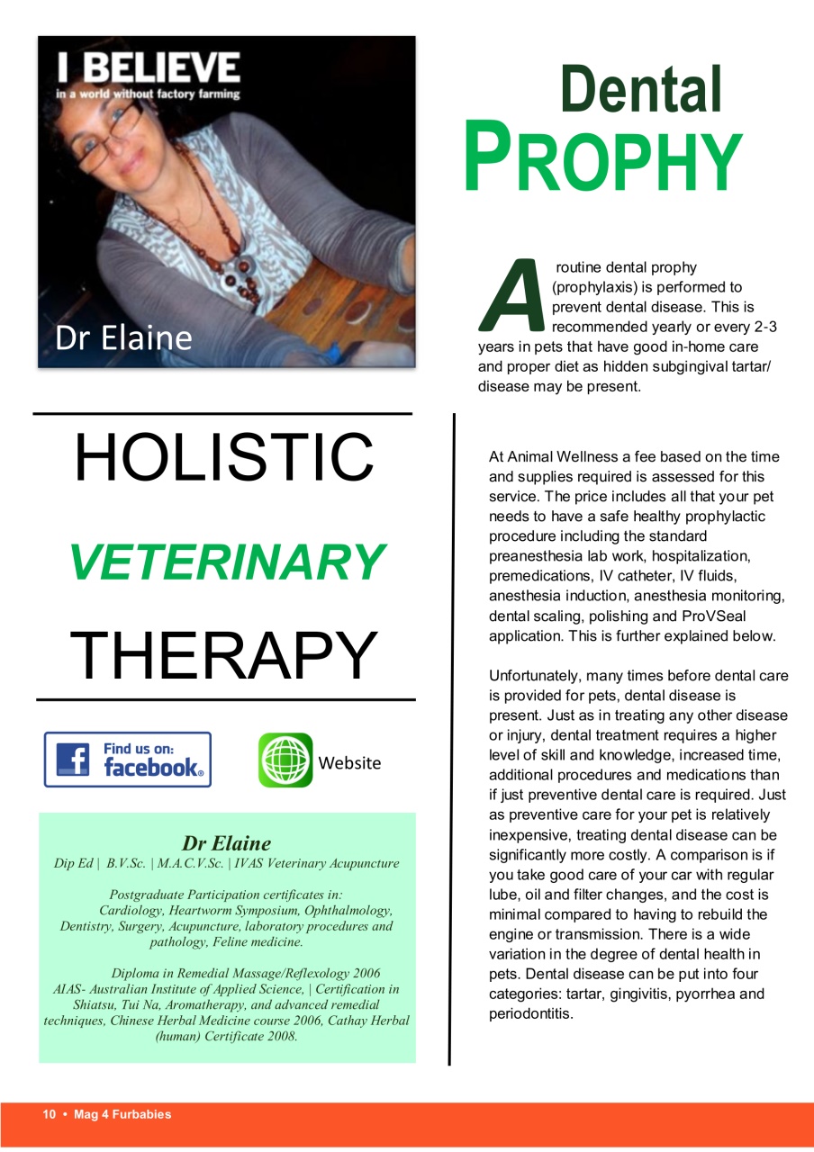 Mag 4 Furbabies Preview Pages