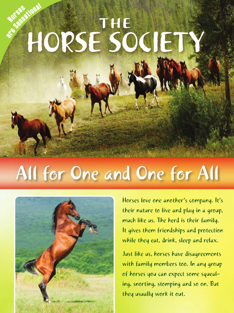 Blaze Magazine For Horse Crazy Kids Preview Pages