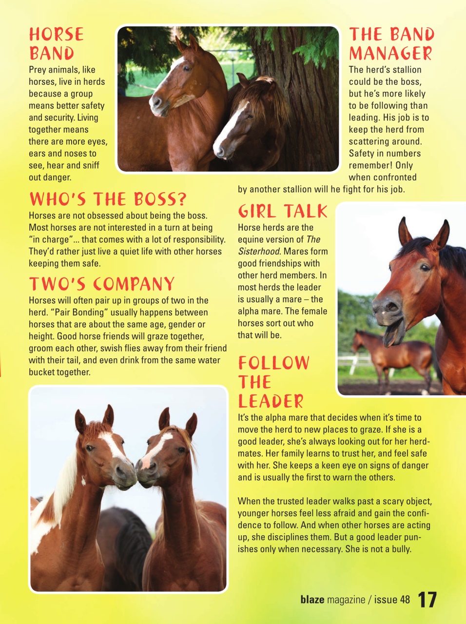 Blaze Magazine For Horse Crazy Kids Preview Pages