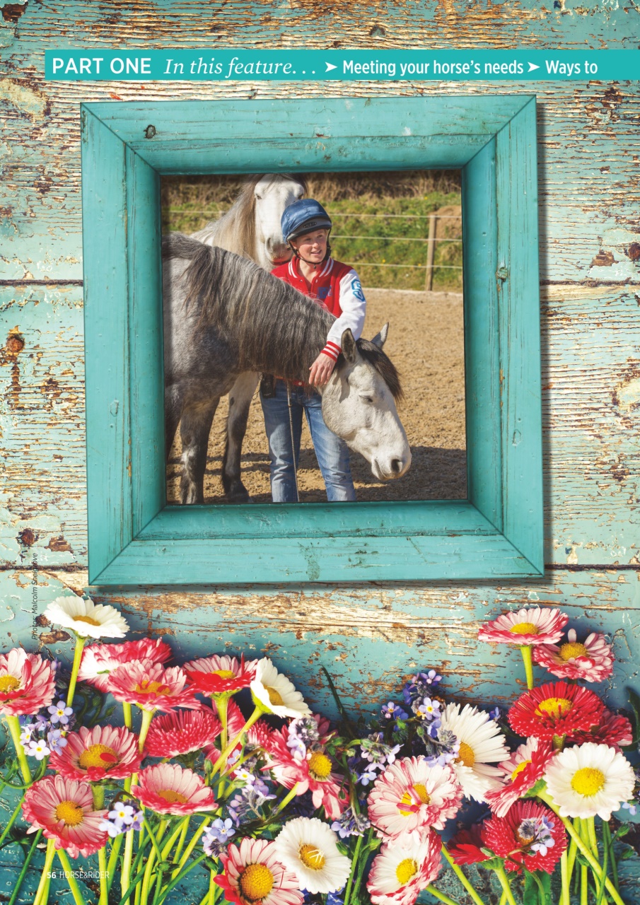 Horse&Rider Magazine - UK equestrian magazine for Horse and Rider Preview Pages