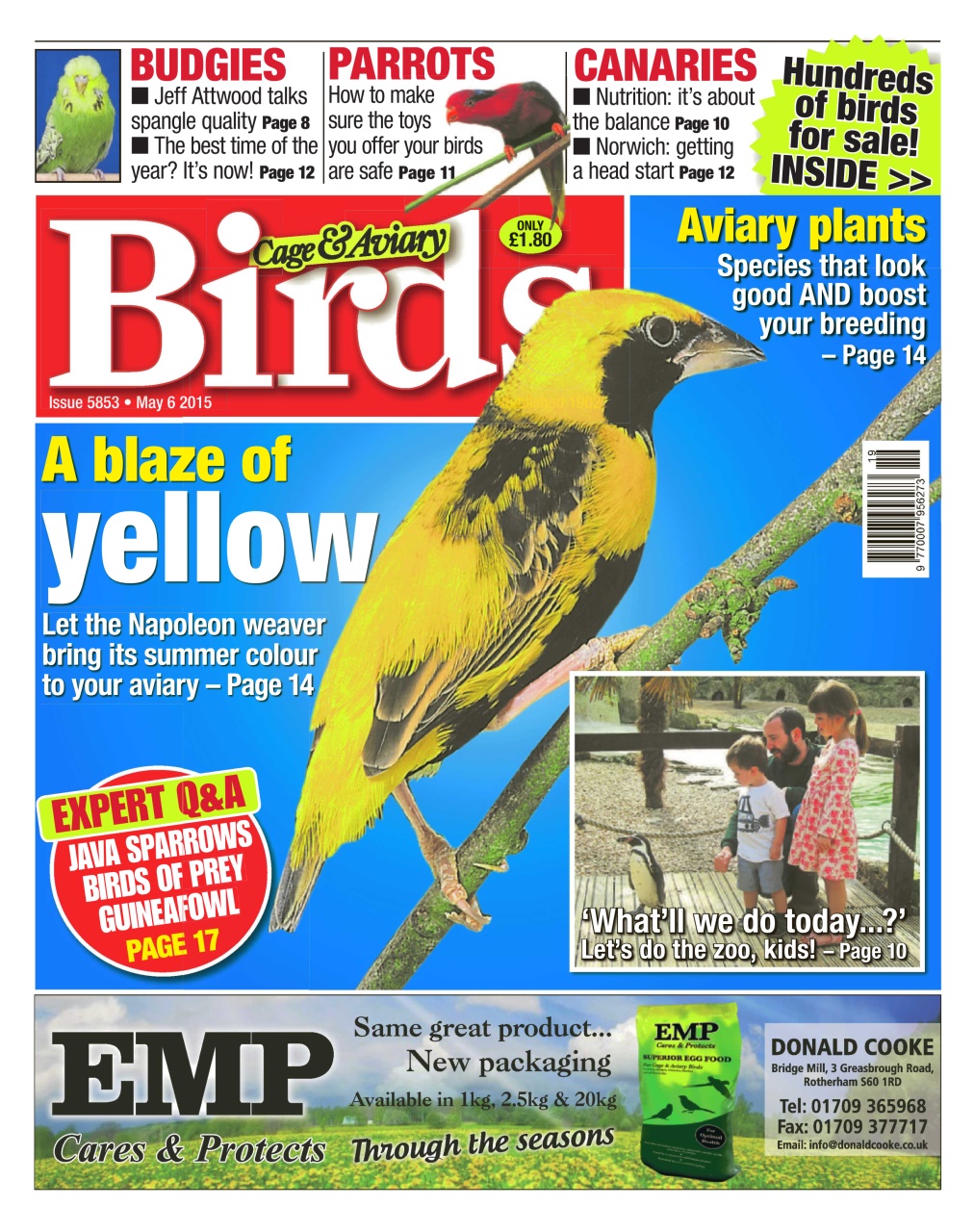 Cage & Aviary Birds Preview Pages