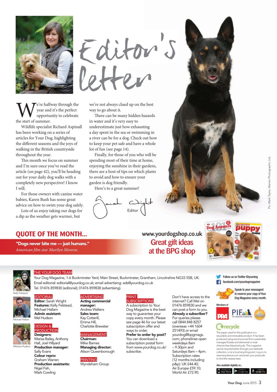 Your Dog Preview Pages