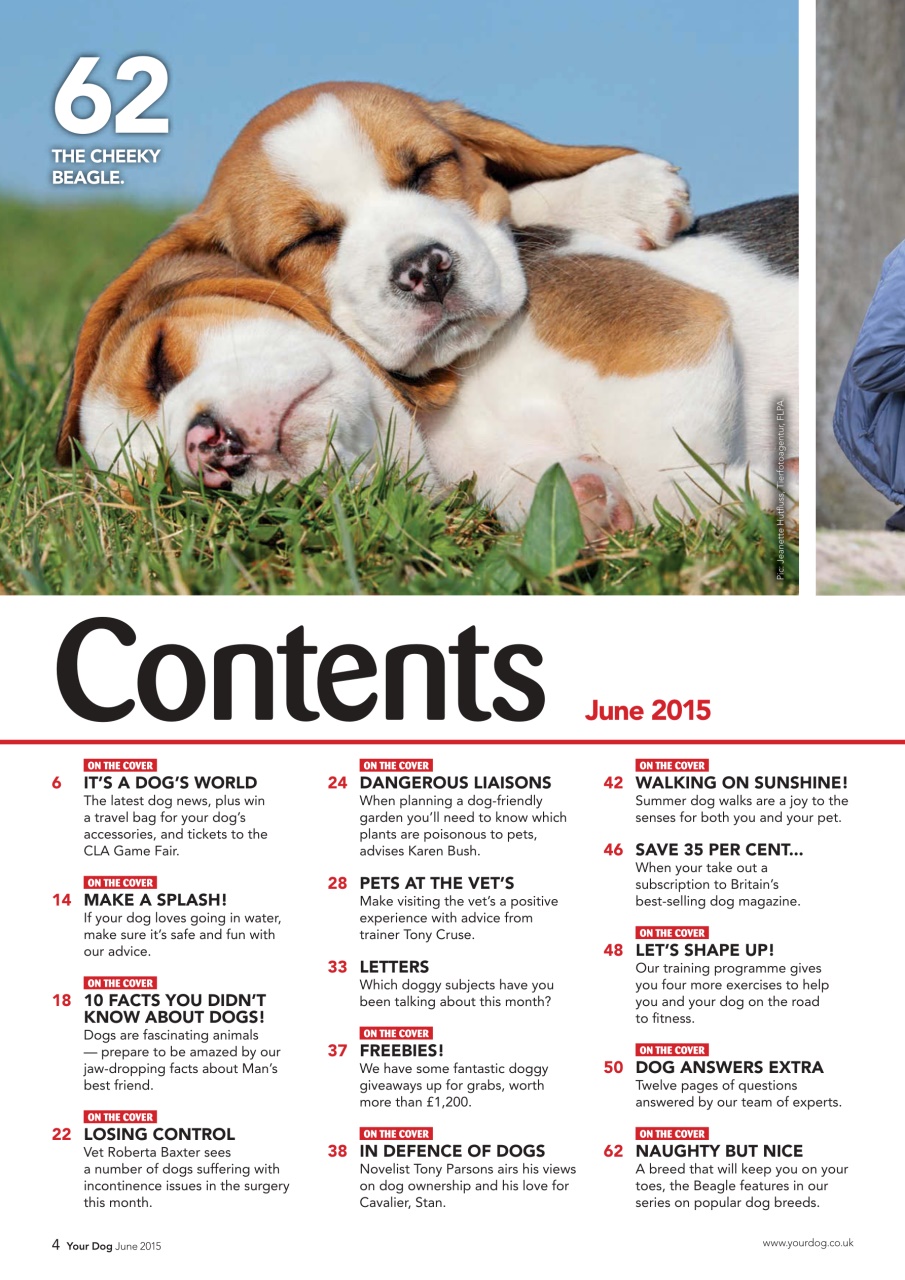 Your Dog Preview Pages