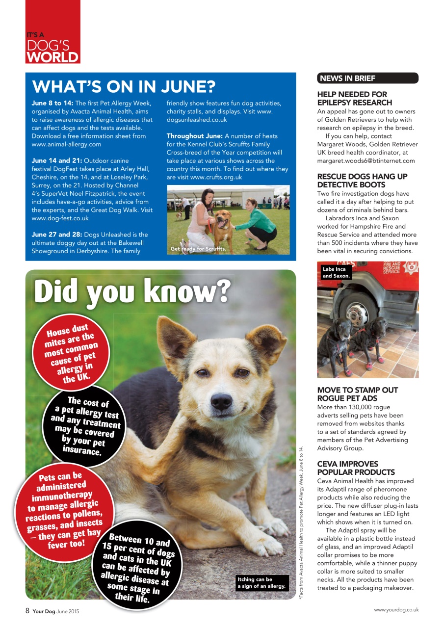 Your Dog Preview Pages