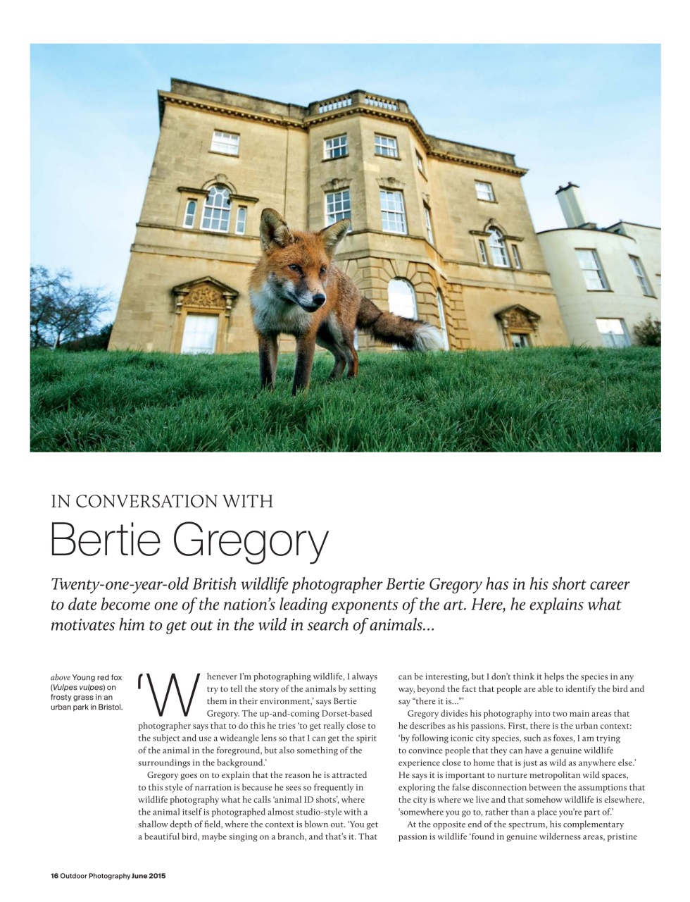 Outdoor Photography Preview Pages