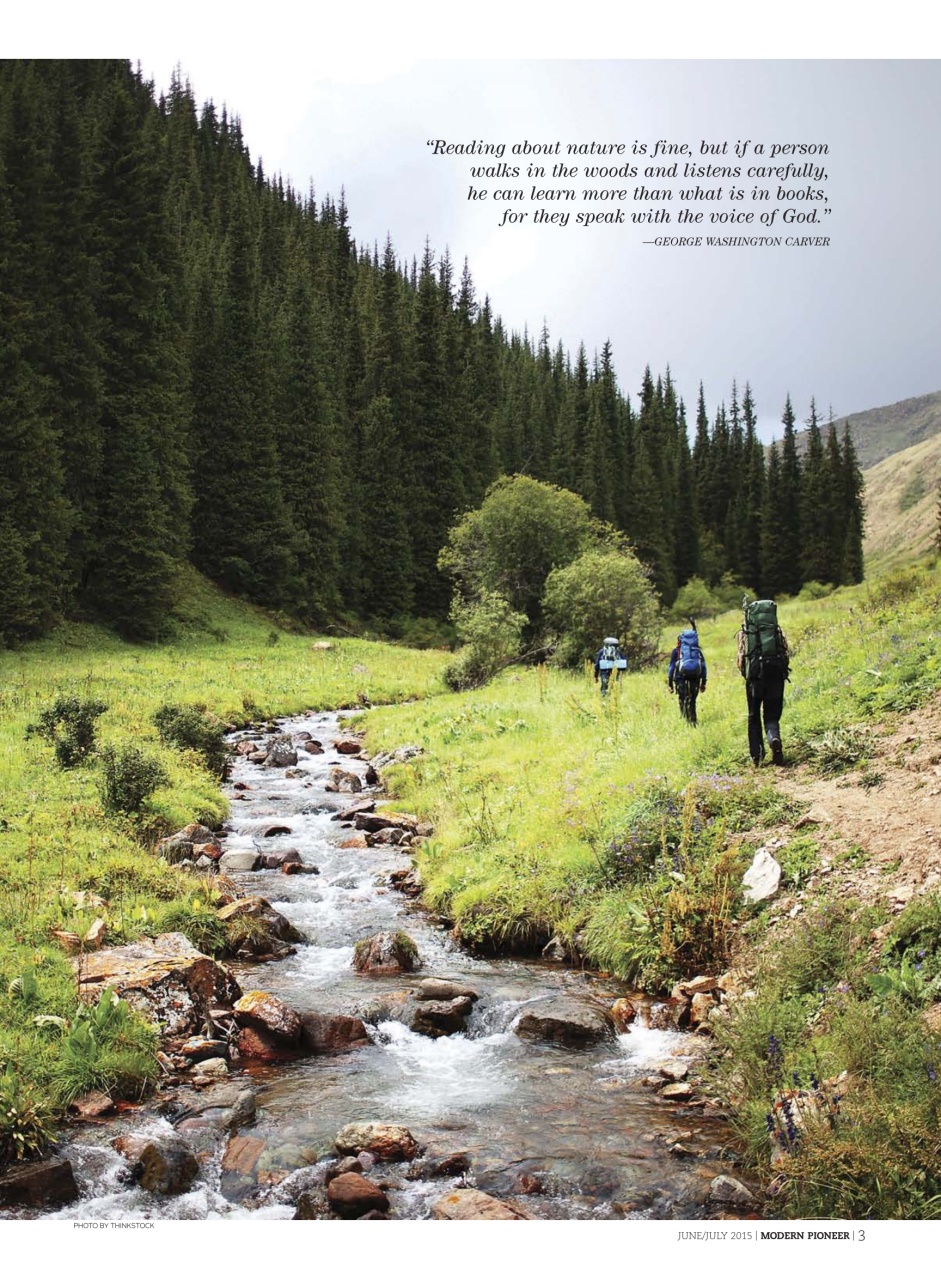 Modern Pioneer Preview Pages