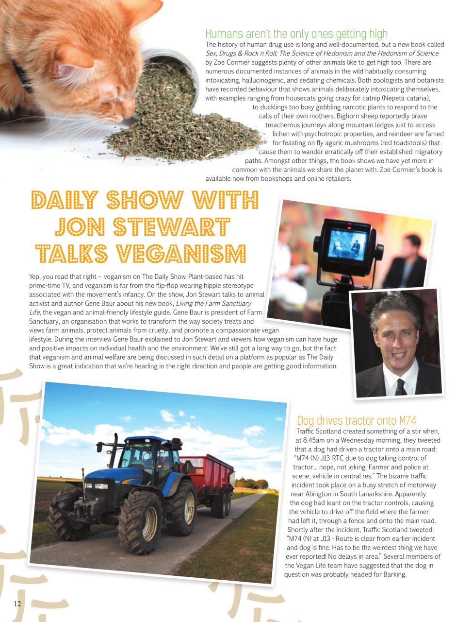 Vegan Life Preview Pages