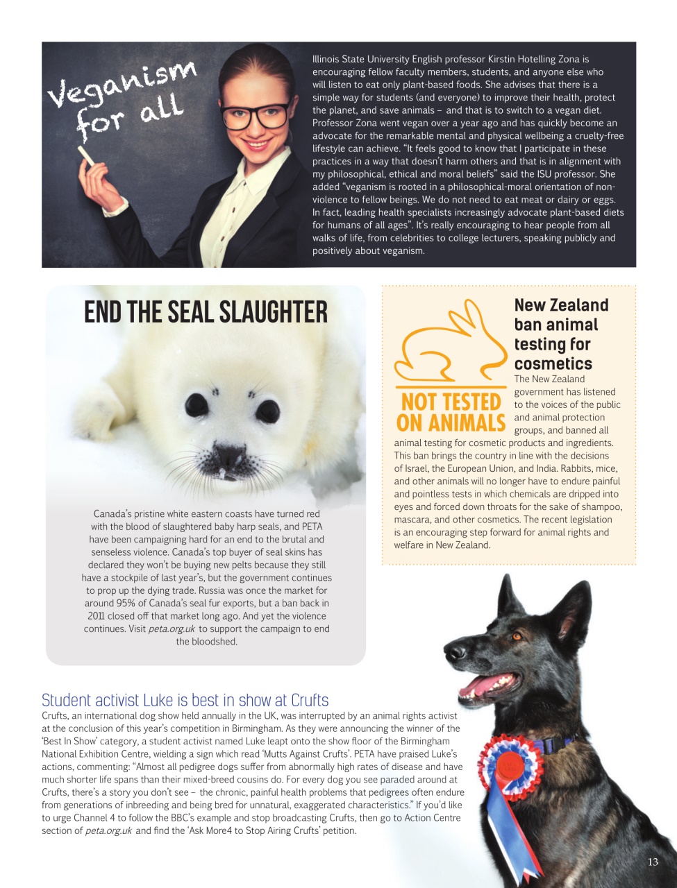 Vegan Life Preview Pages