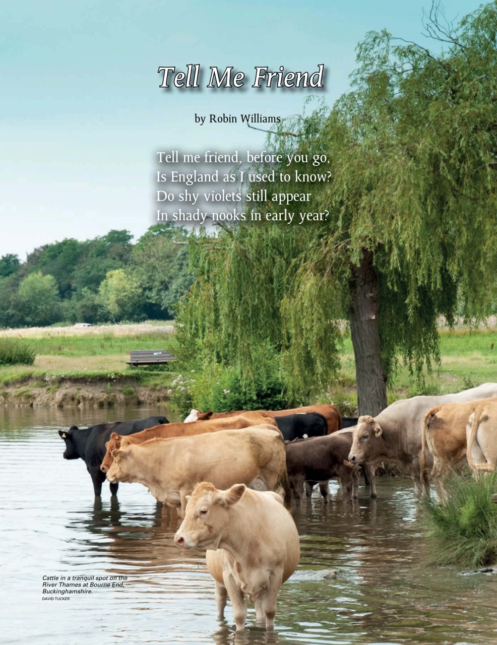 This England Preview Pages