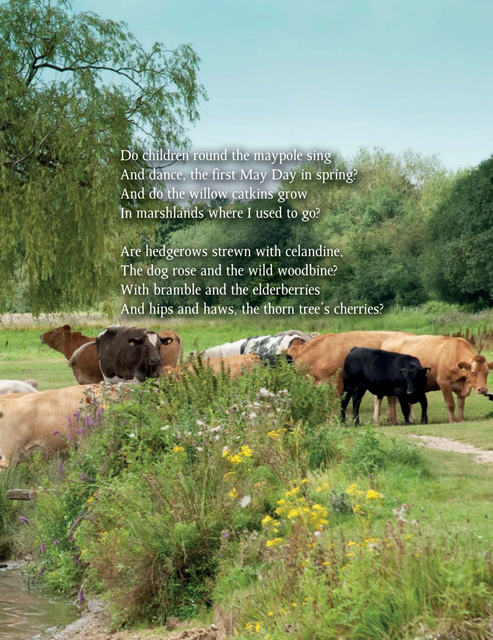 This England Preview Pages