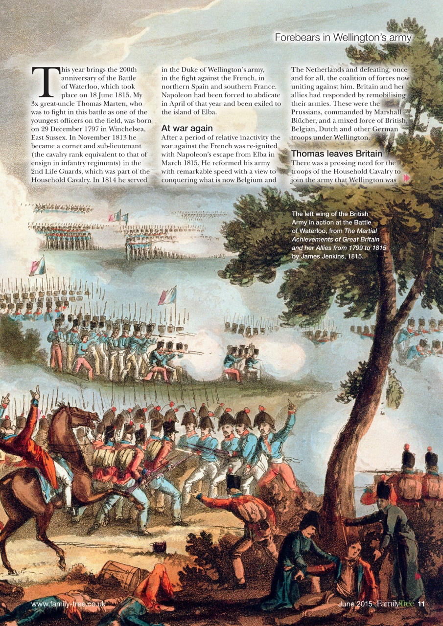 Family Tree Preview Pages