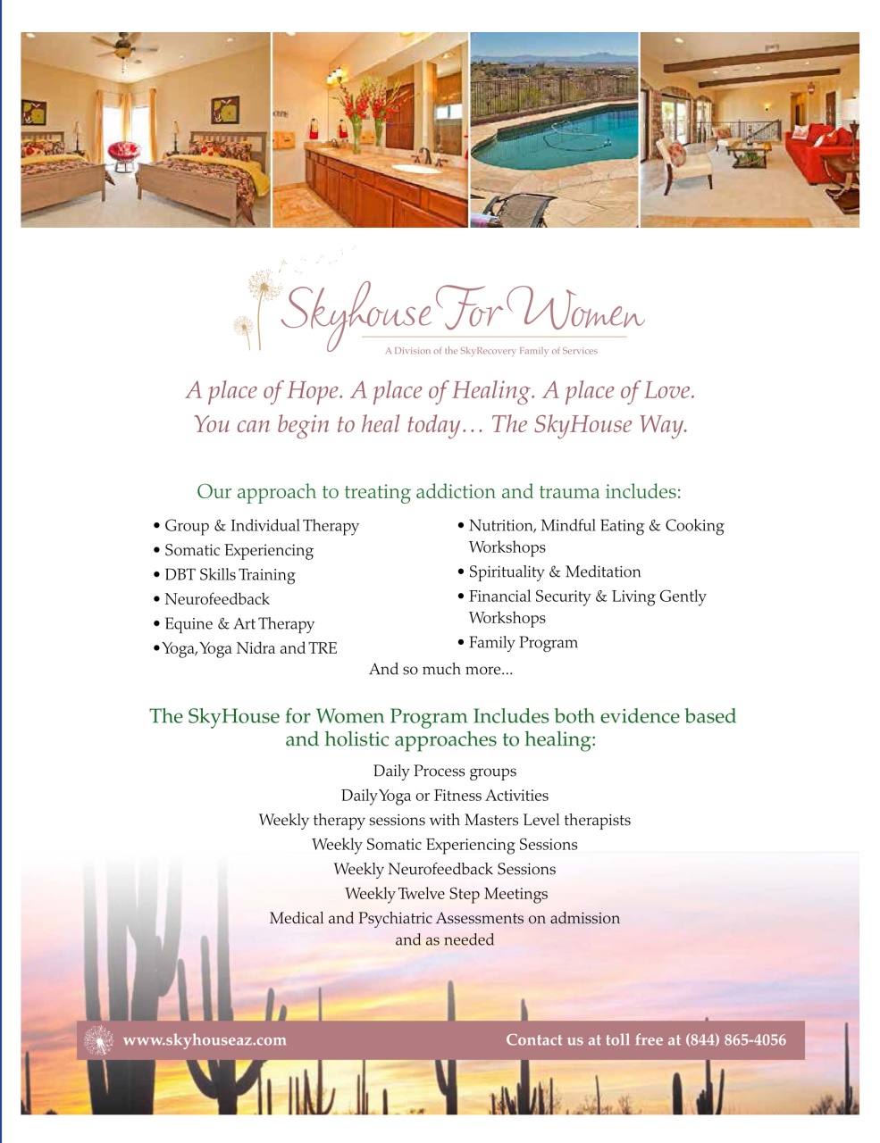 In Recovery Preview Pages