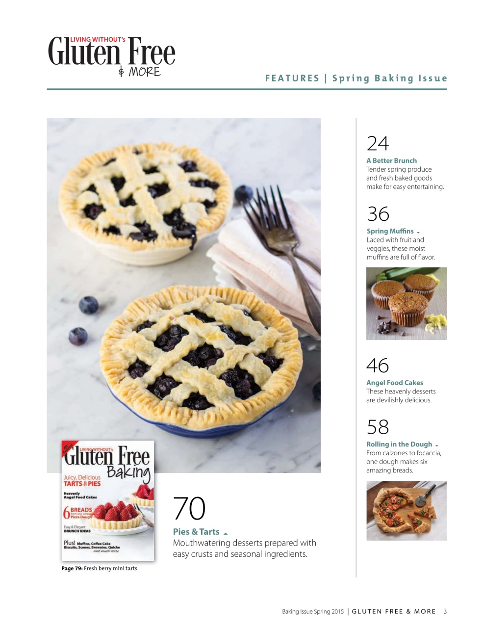 Gluten Free & More Preview Pages