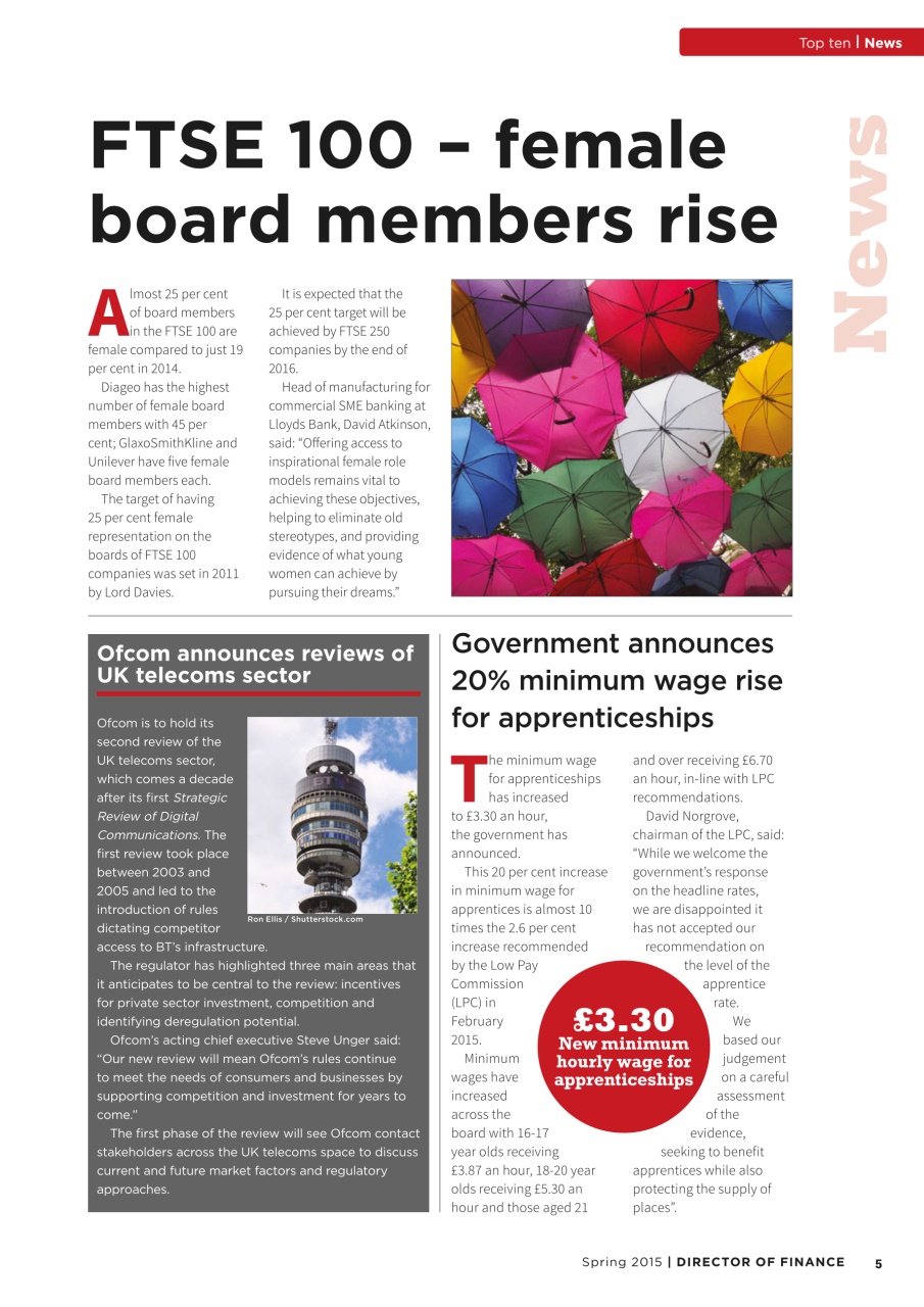 Director of Finance Preview Pages