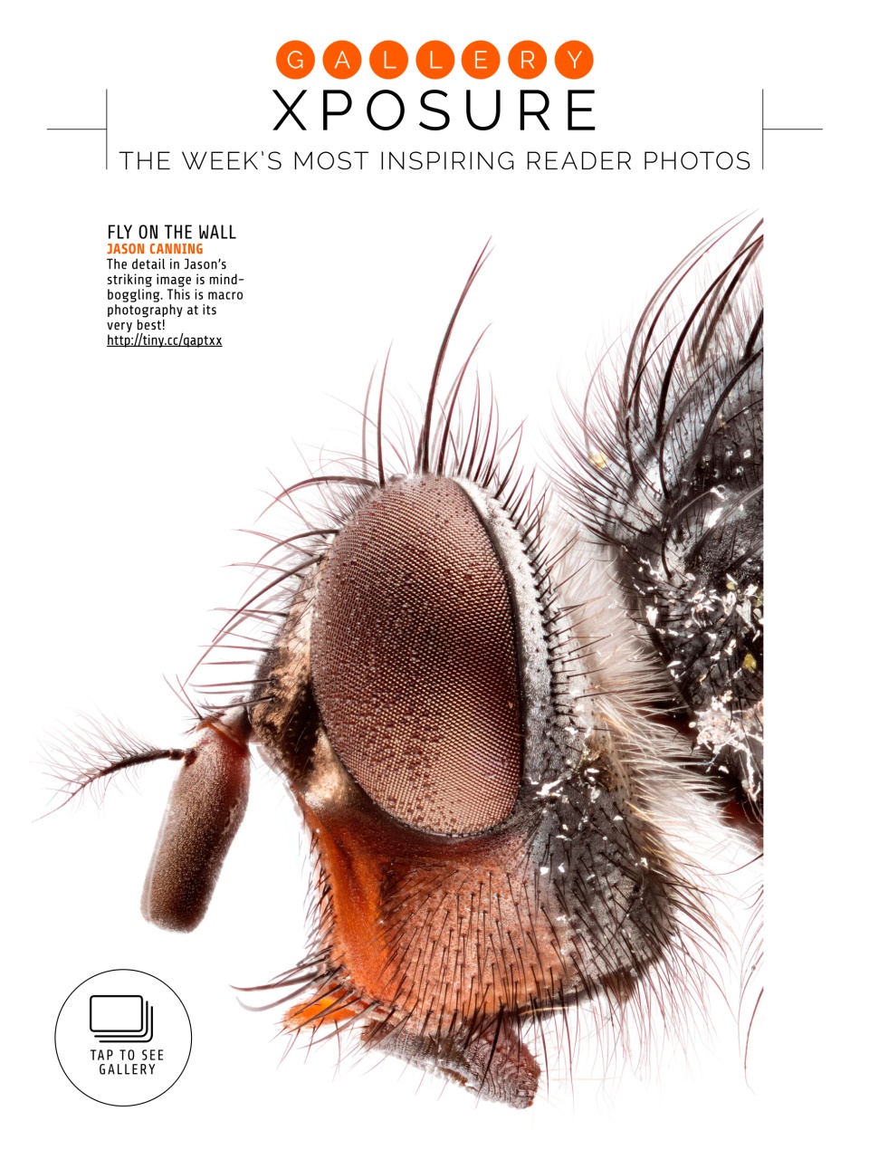 Photography Week Preview Pages