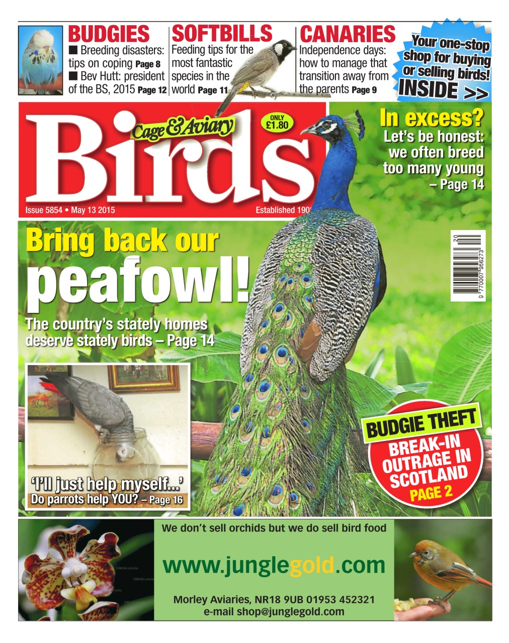 Cage & Aviary Birds Preview Pages