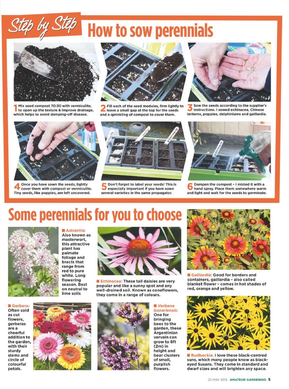 Amateur Gardening Preview Pages
