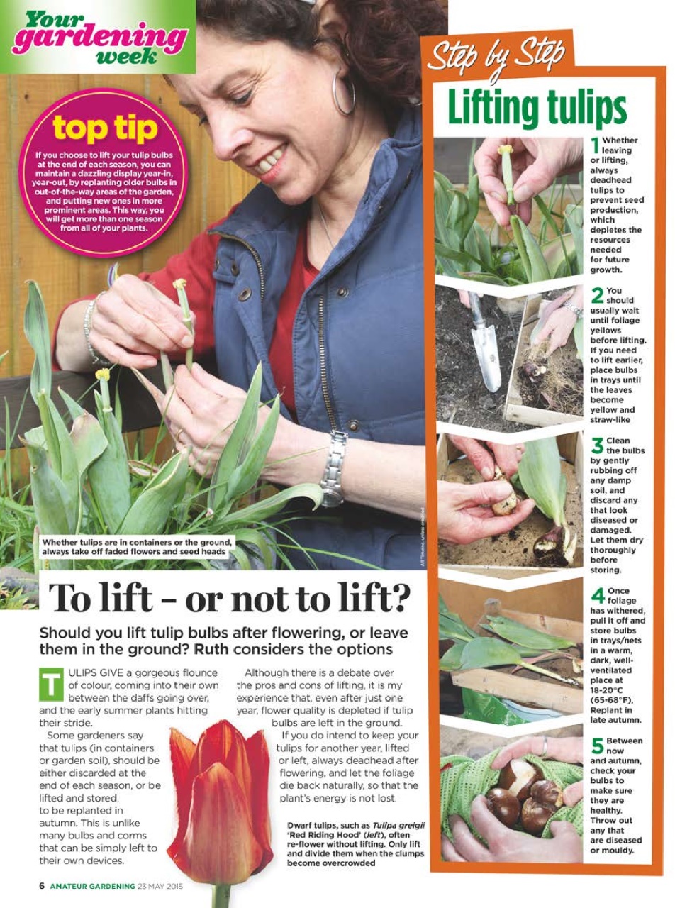 Amateur Gardening Preview Pages