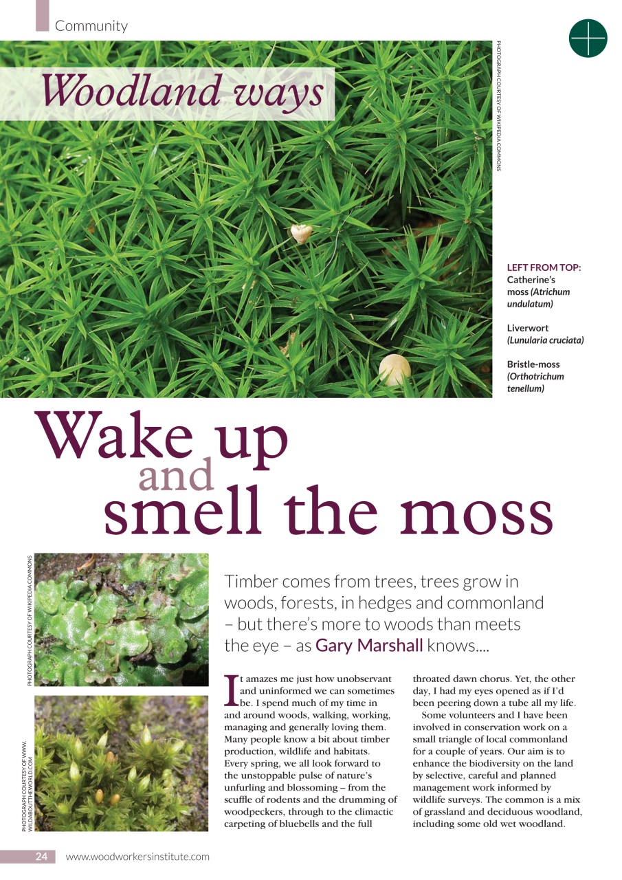 Woodworking Crafts Magazine Preview Pages