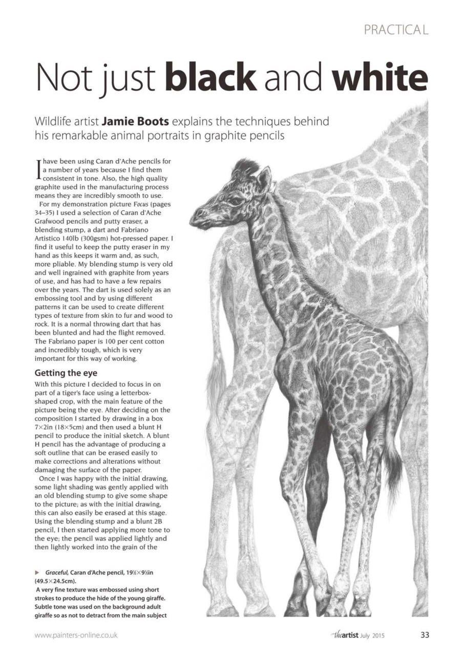 The Artist Preview Pages