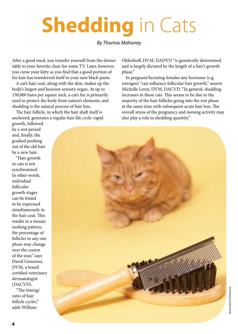 I Love Cats Preview Pages