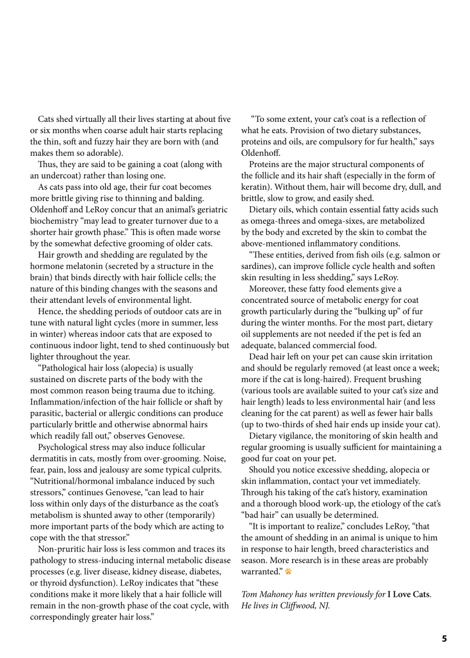 I Love Cats Preview Pages