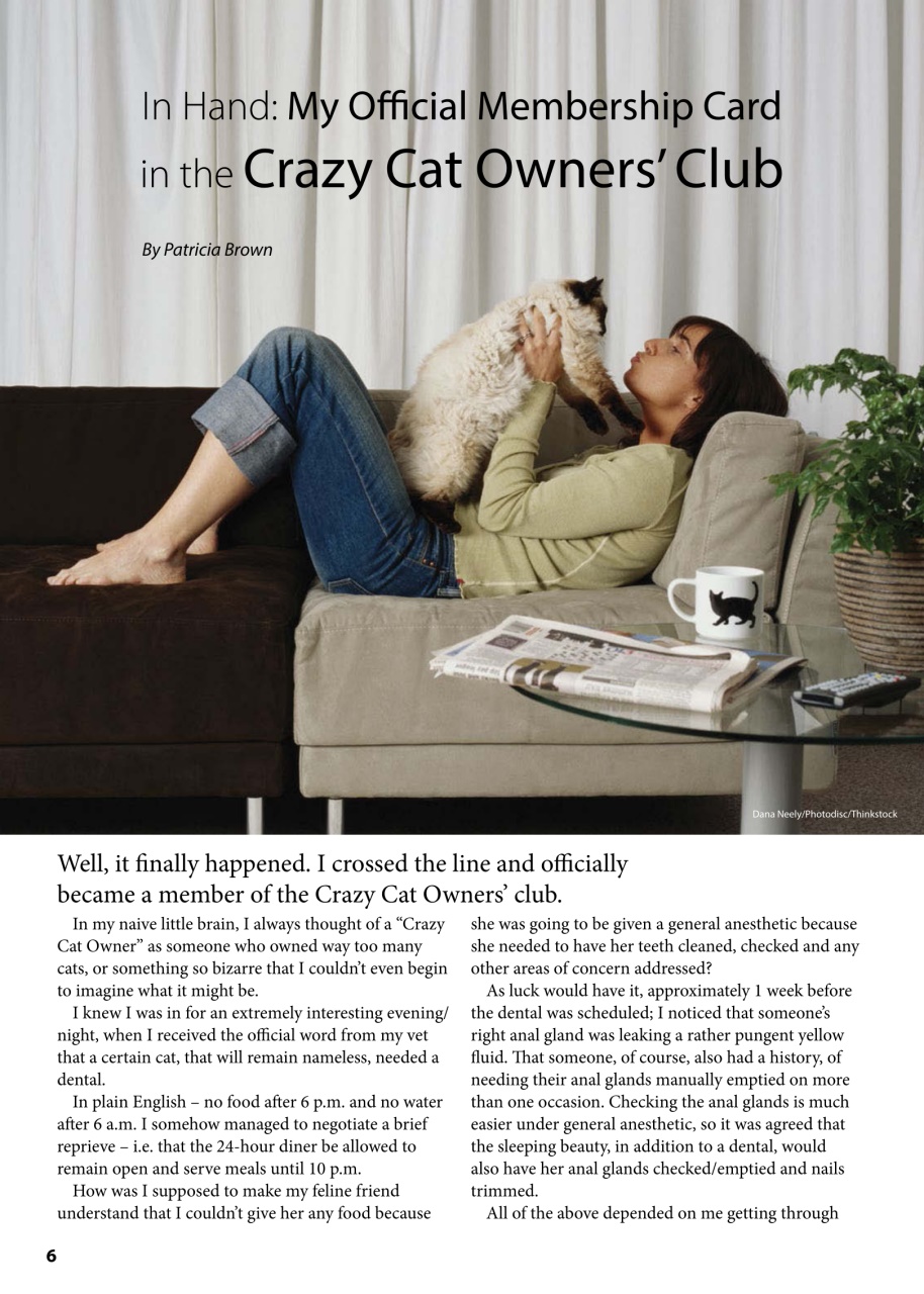 I Love Cats Preview Pages