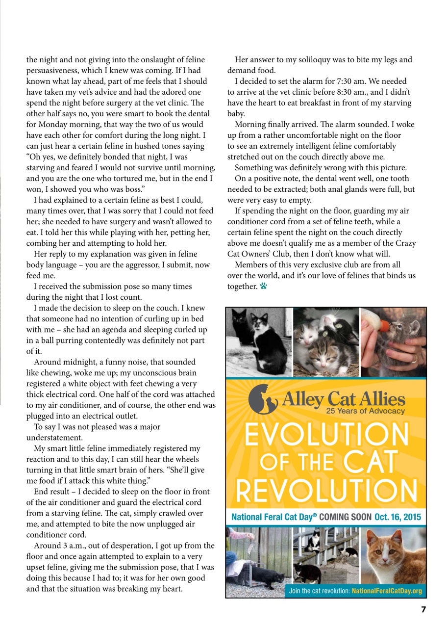 I Love Cats Preview Pages