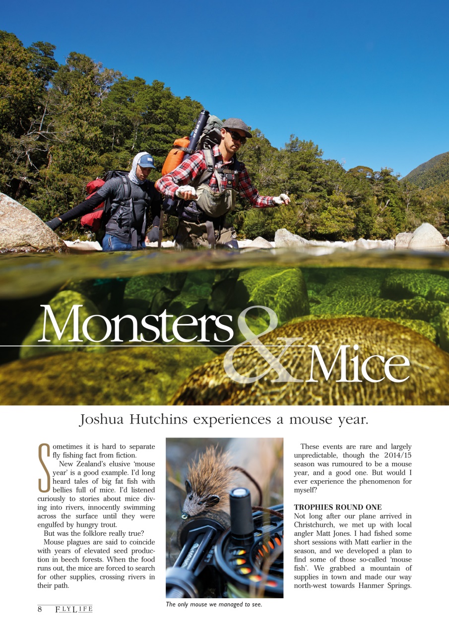 FlyLife Preview Pages