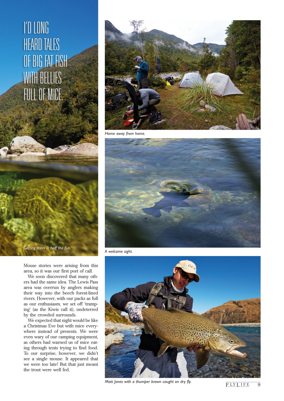 FlyLife Preview Pages