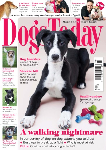 Dogs Today Magazine issue 