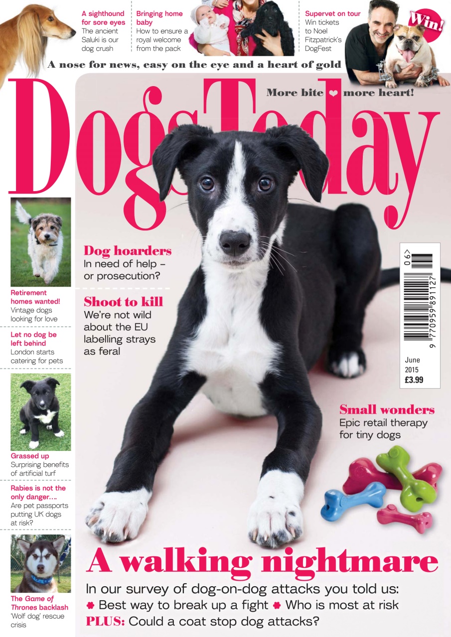 Dogs Today Magazine Preview Pages