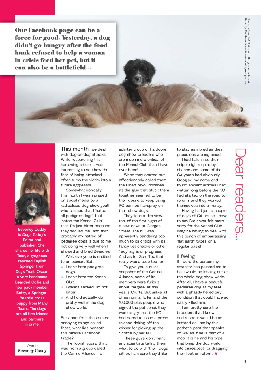 Dogs Today Magazine Preview Pages