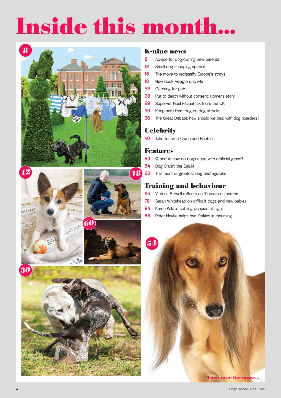 Dogs Today Magazine Preview Pages