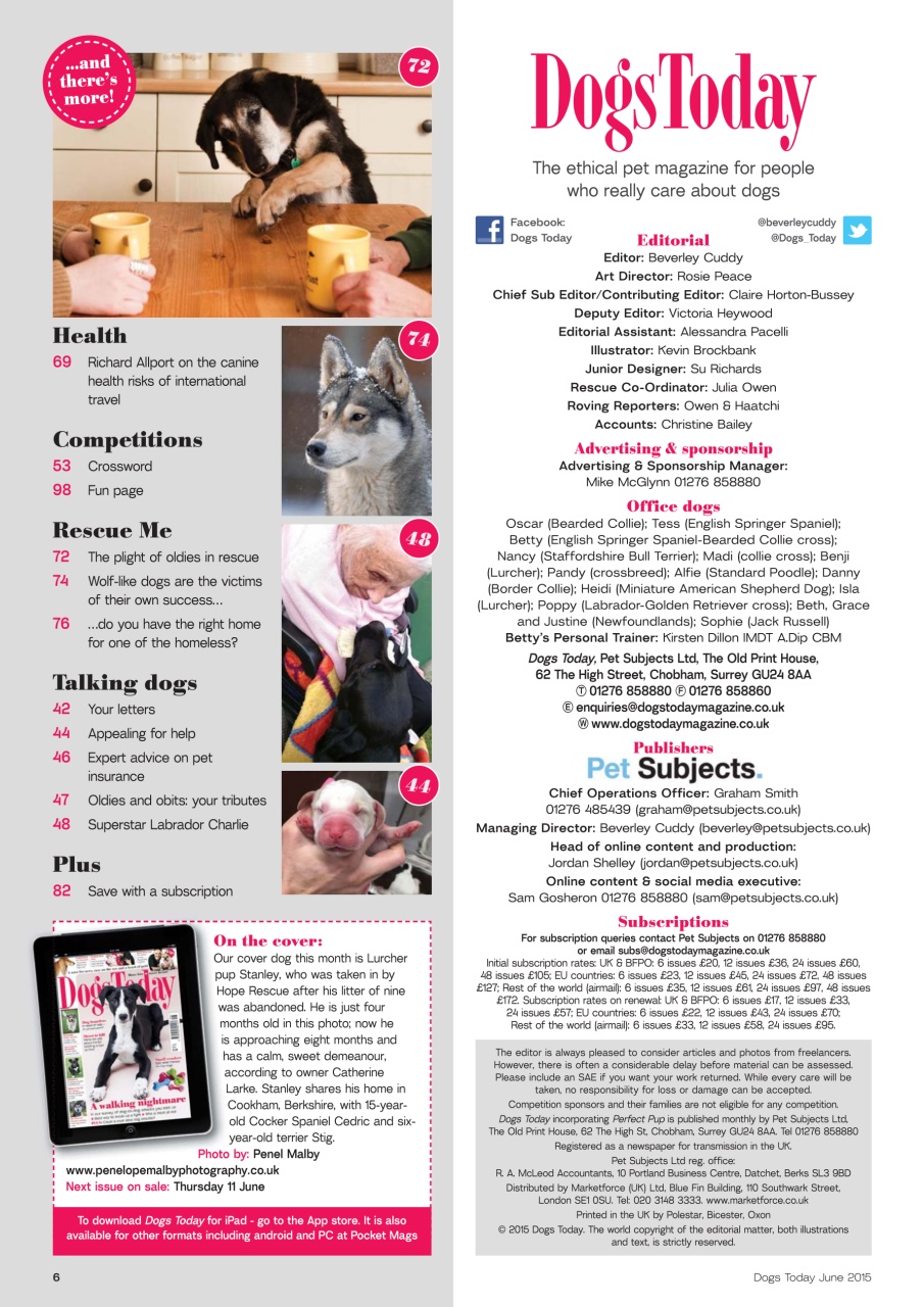 Dogs Today Magazine Preview Pages