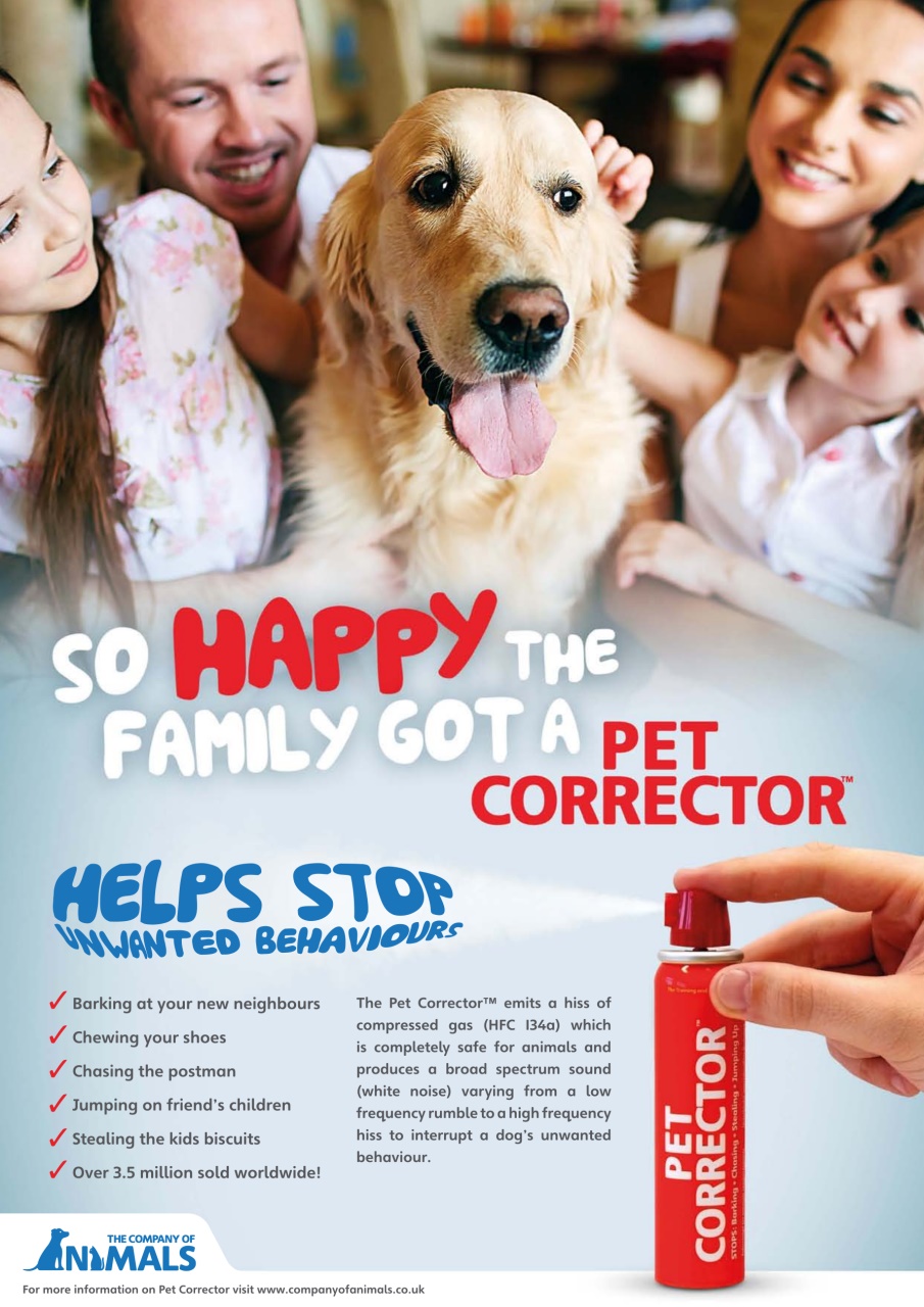 Dogs Today Magazine Preview Pages