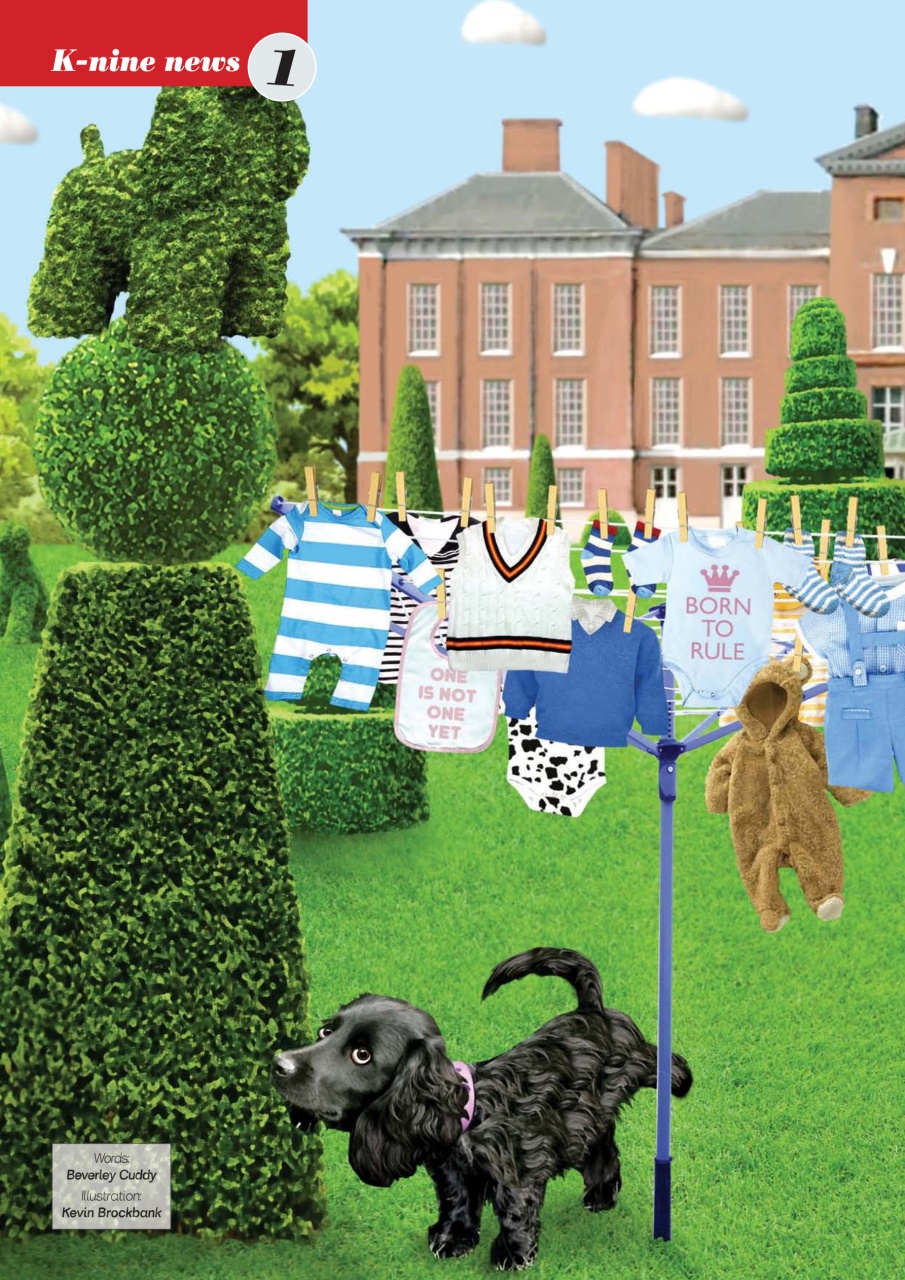 Dogs Today Magazine Preview Pages