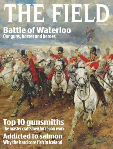 The Field issue June 2015