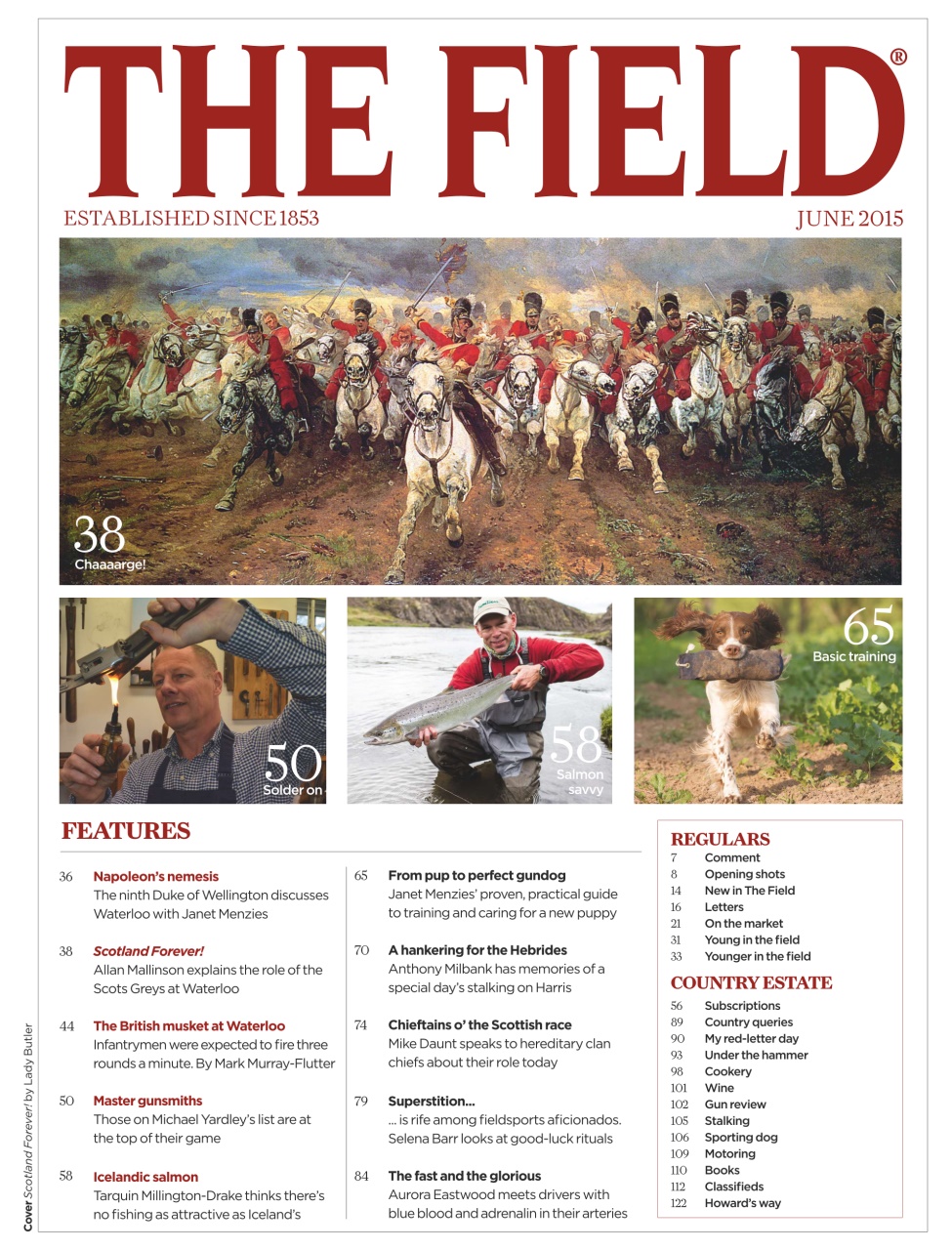 The Field Preview Pages