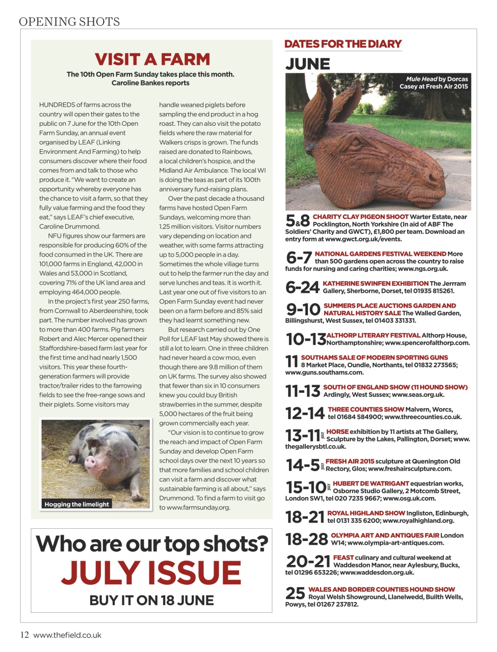 The Field Preview Pages