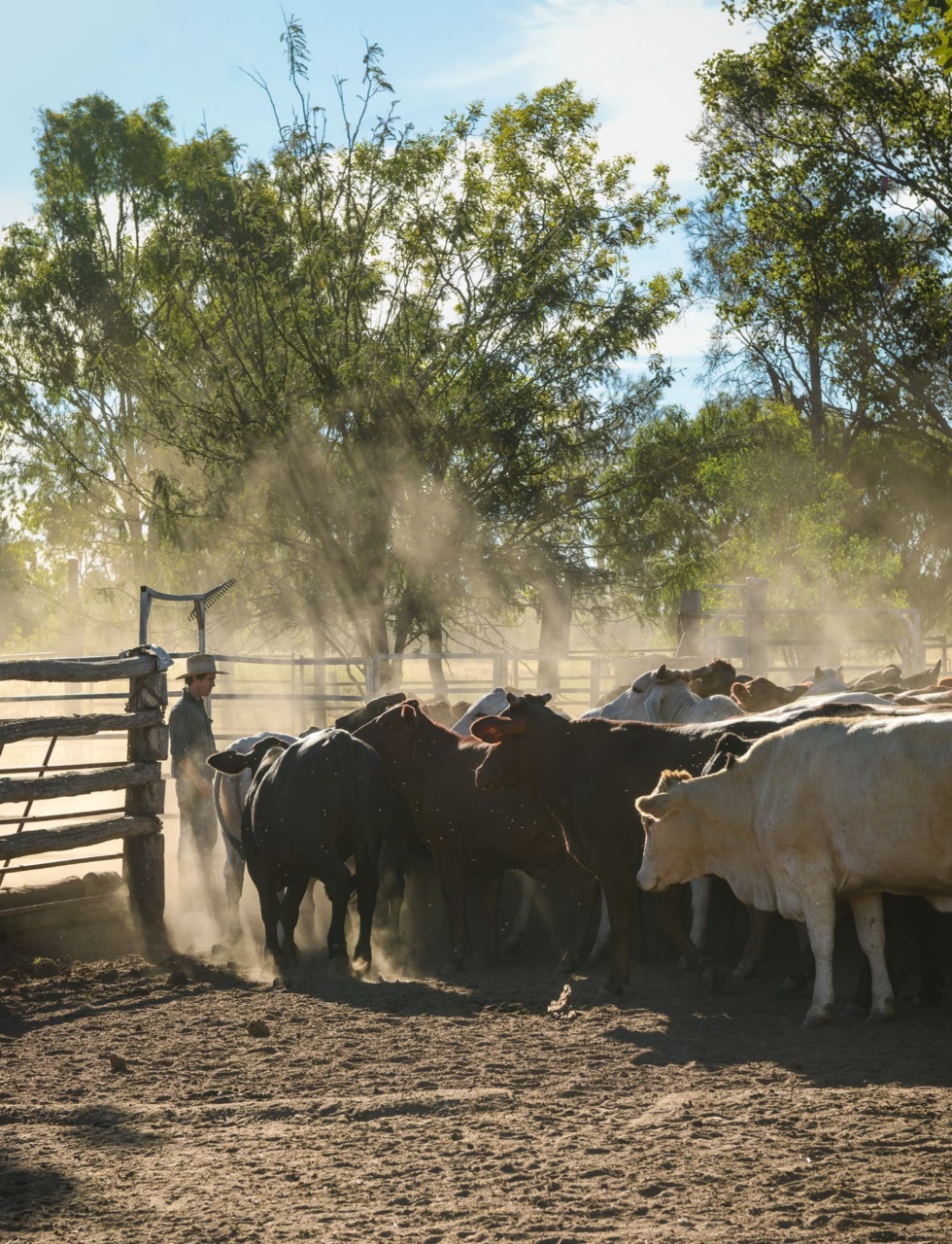 OUTBACK Magazine Preview Pages