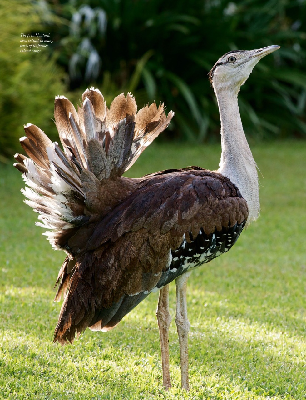 OUTBACK Magazine Preview Pages