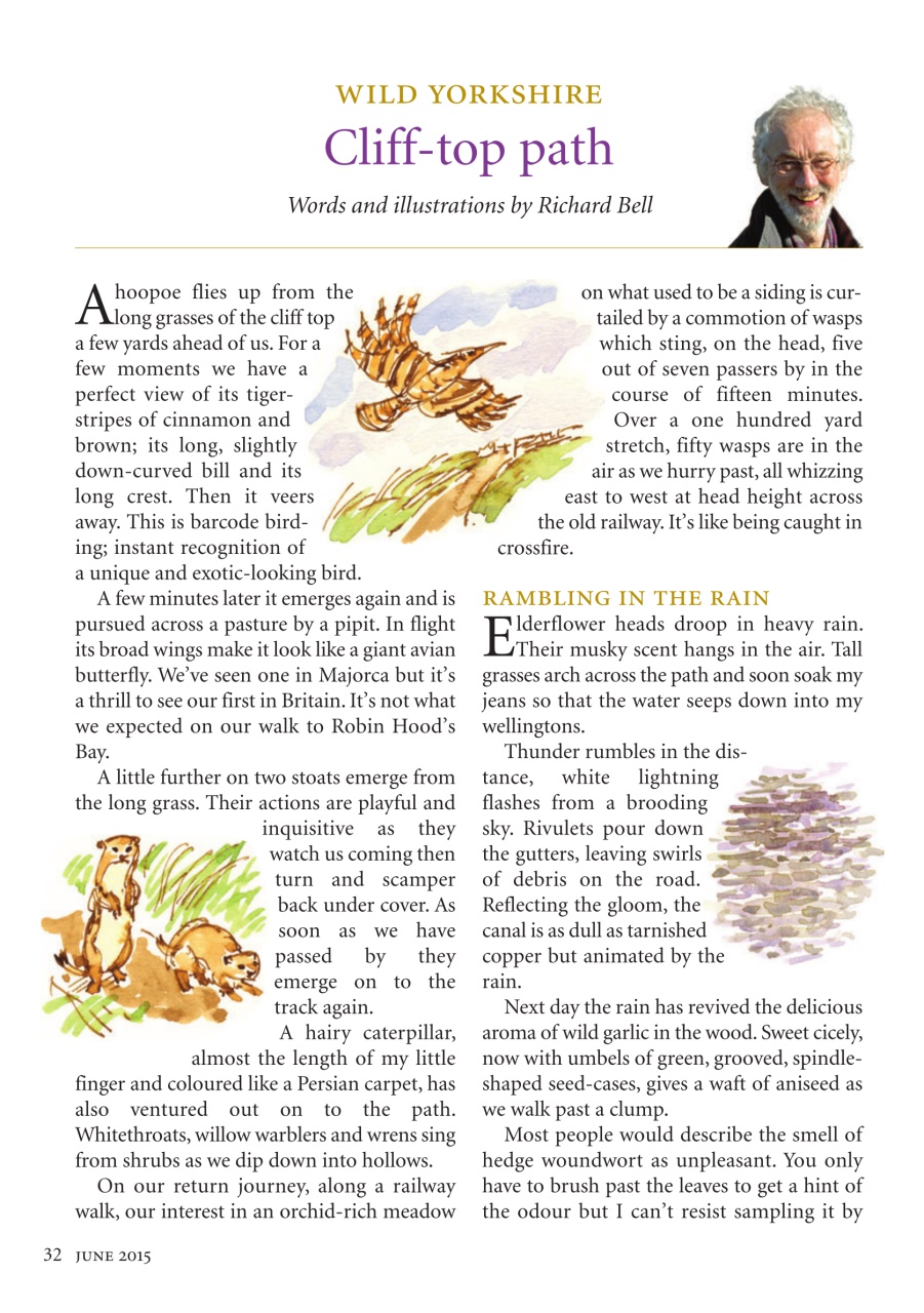 The Yorkshire Dalesman Preview Pages